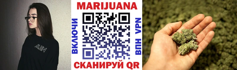 как найти   Фрязино  Конопля AK-47 